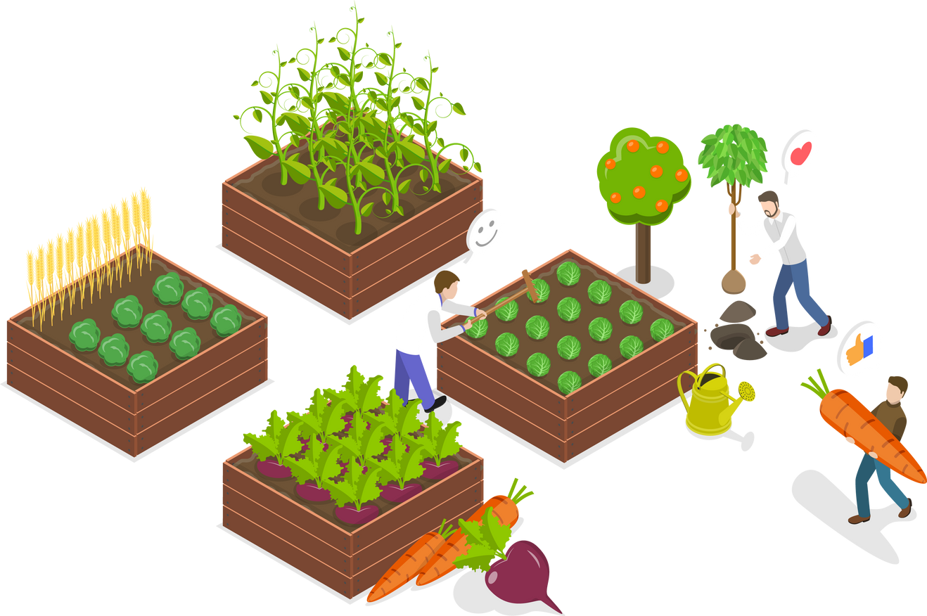 3D Isometric Flat Conceptual Illustration of Organic Agriculture